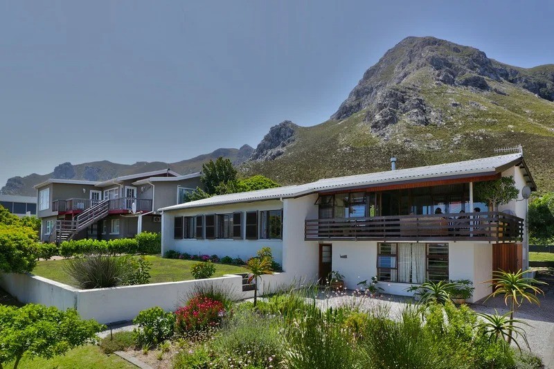 CAPE CHESTNUT - cometocapetown.com