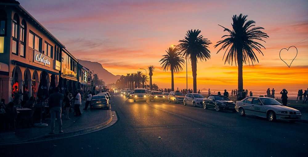 Camps Bay beachfront sunset with silhouetted palm trees