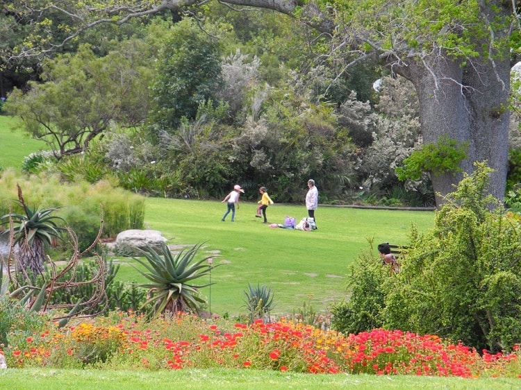 Kirstenbosch Botanical Gardens - attractions that define Cape Town