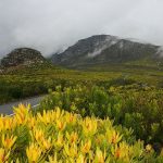 Wallet-Friendly Places To Visit in Cape Town - Silvermine Nature Reserve