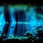 8 Best Things to do in Cape Town This Weekend — 22 - 24 December 2017 - Underwater Photographer of the Year