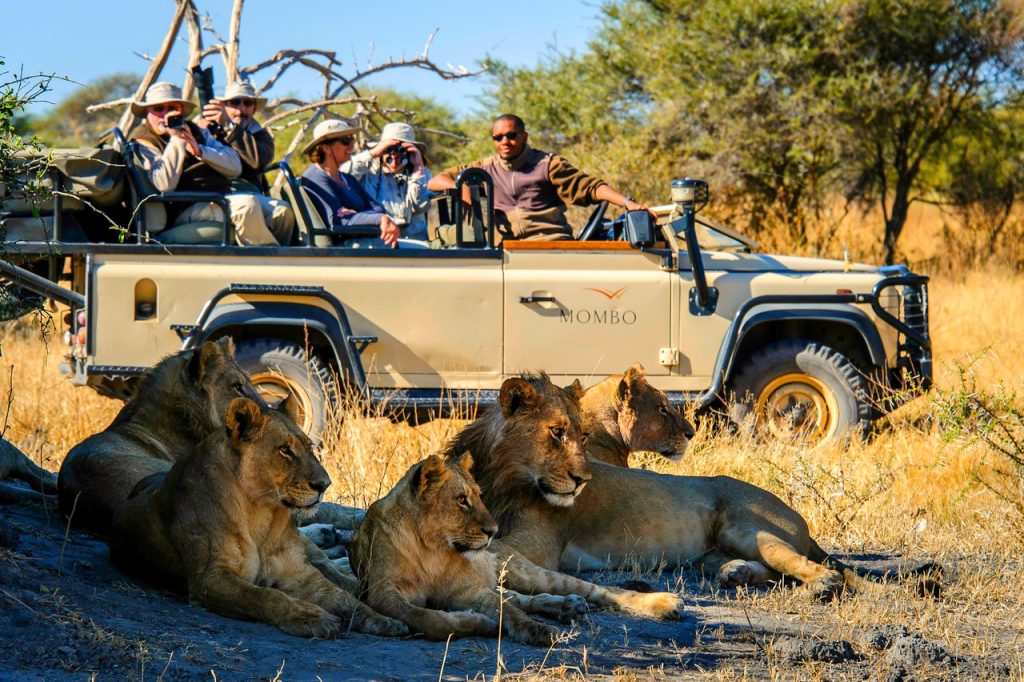 adventure tour in south africa