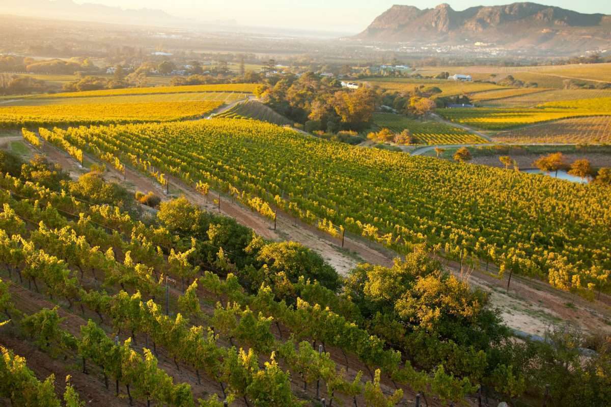 5 divine Constantia estates worth exploring | ComeToCapeTown