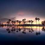 A stirring picture of trees sillouhetted and reflected in water. Chosen to accompany the poem 'A Poem About Travelling' by Gio Evan.